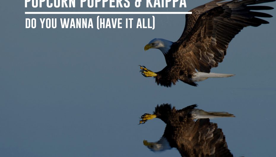 Popcorn Poppers & Kaippa – Do You Wanna (Have It All)