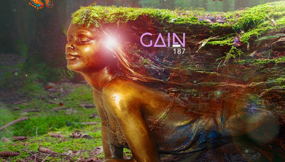Check out Mateo Paz’s November ‘Gain’ podcasts