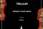 Ornery Adds His Signature Touch to Trilium’s ‘Spread Your Wings’